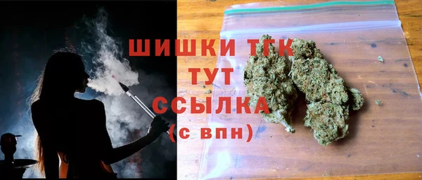 крисы Армянск