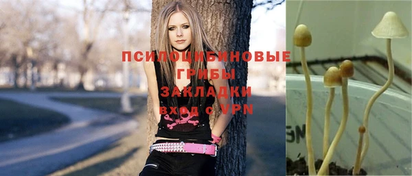 jwh Аркадак