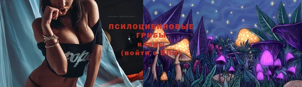 mdpv Осинники