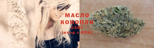 крисы Армянск