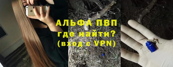 спайс Арсеньев