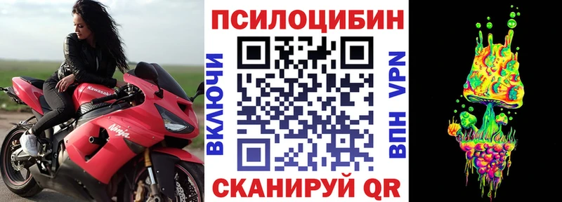 MEGA ТОР где купить Малоархангельск Псилоцибиновые грибы GOLDEN TEACHER